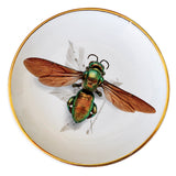 AVISPA TORNASOL · PLATO MINIATURA