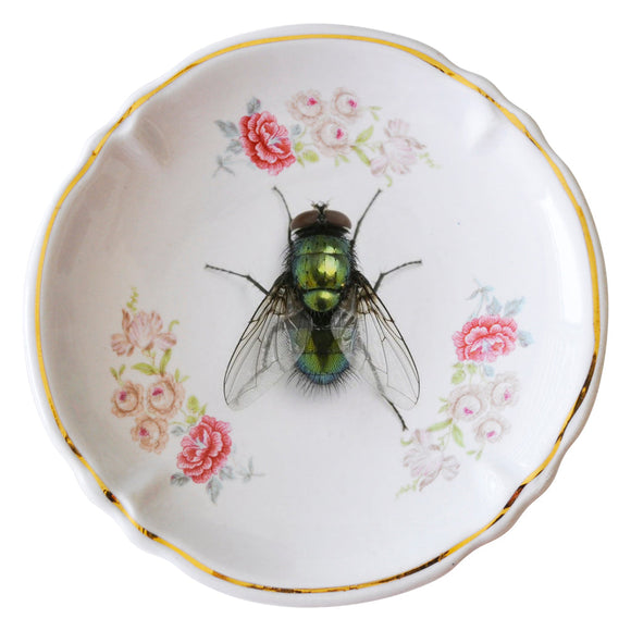 MOSCA VERDE · PLATO MINIATURA