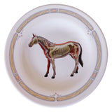 CABALLO ANATÓMICO